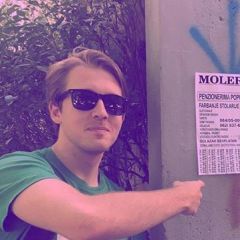 Pavle Ivanović, 30, Belgrade, Serbia