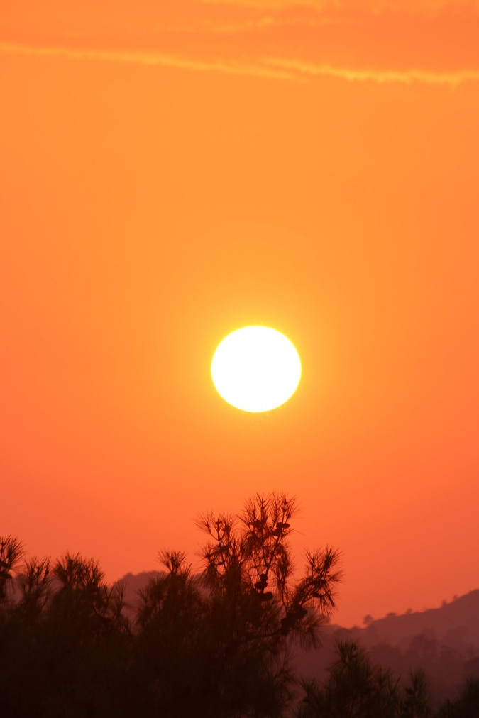savaş, 60, Fethiye, Turkey