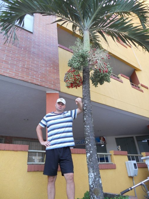 artem, 43, Tyumen, Russian Federation