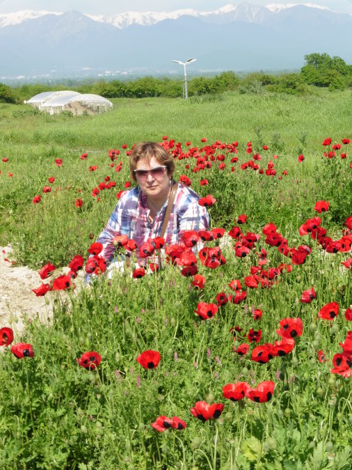 Марина, 68, Moscow, Russian Federation