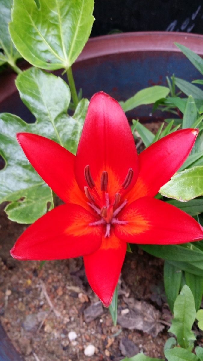 j s ,park(박종삼), 59, Mokpo, South Korea