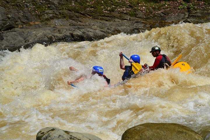 Tim , 64, Scottsdale, United States