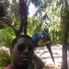 Cuddler(look to my profile please), 34, Jeddah, Saudi Arabia