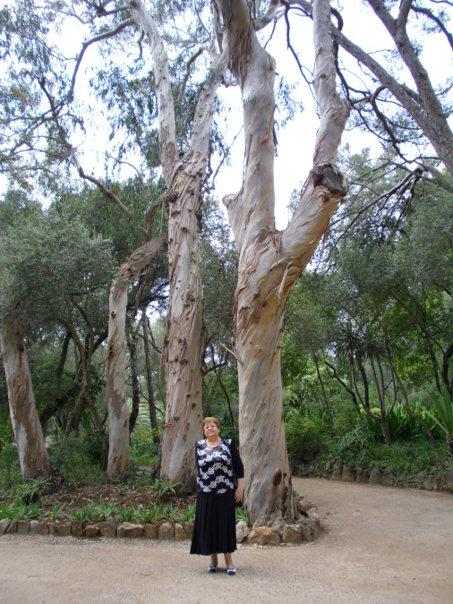 Людмила, 73, Almaty, Kazakhstan