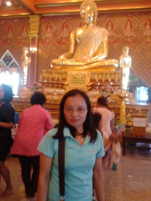 kru Nual bird, , Phra Nakhon Si Ayutthaya, Thailand