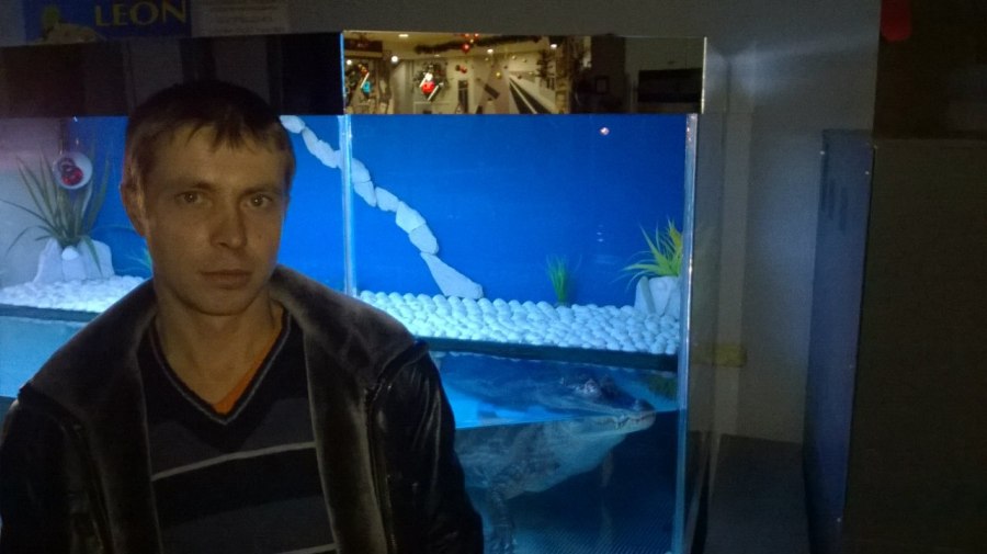 Алексей, 42, Samara, Russian Federation
