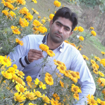 kashifbashir, 39, Lahore, Pakistan