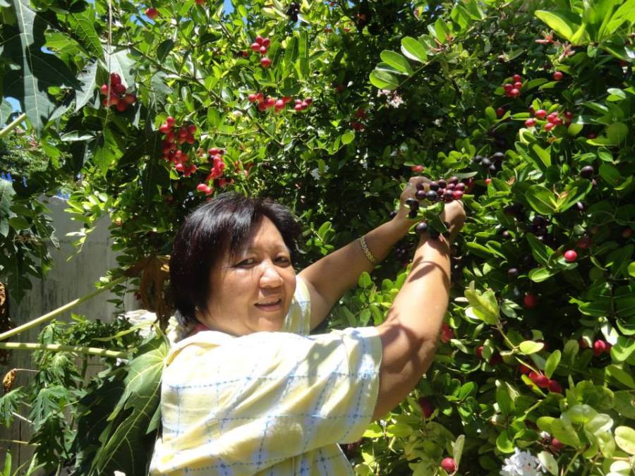 alice, 68, Cebu, Philippines