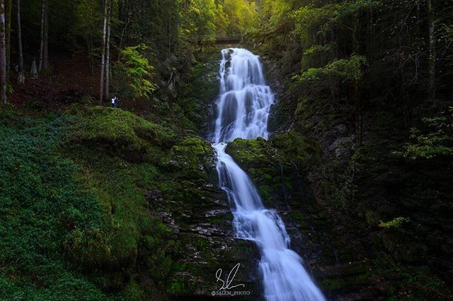 Sam Al, 40, Bishah, Saudi Arabia