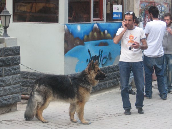 ercan, 48, Istanbul, Turkey