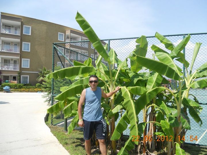 Mertcan, 46, Izmir, Turkey