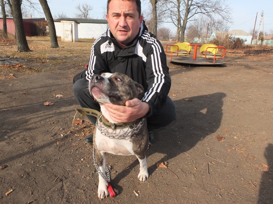 Виктор, 56, Kirovohrad, Ukraine