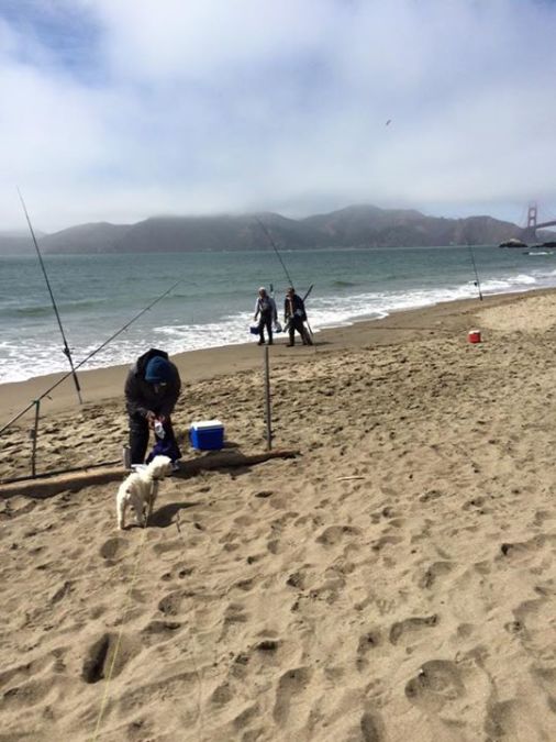 Jose, 40, San Francisco, United States