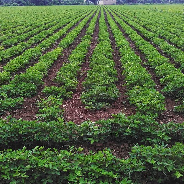 Mayk, 37, Ahmedabad, India