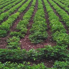 Mayk, 37, Ahmedabad, India