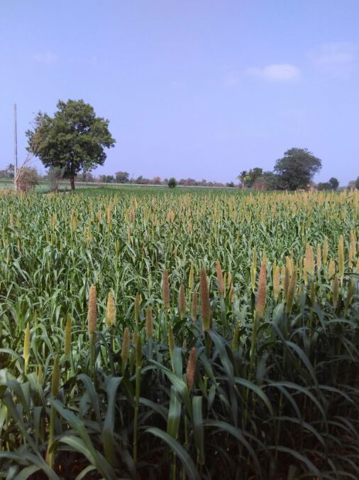 Mayk, 37, Ahmedabad, India