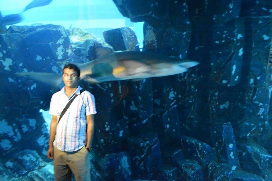 nijil, 38, Abu Dhabi, United Arab Emirates