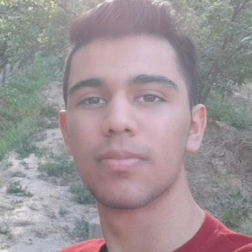 Amin, 23, Tehran, Iran