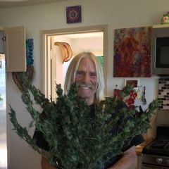 michael, 65, Laguna Niguel, United States