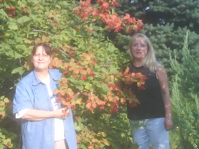 irina, 70, Zaporizhzhya, Ukraine