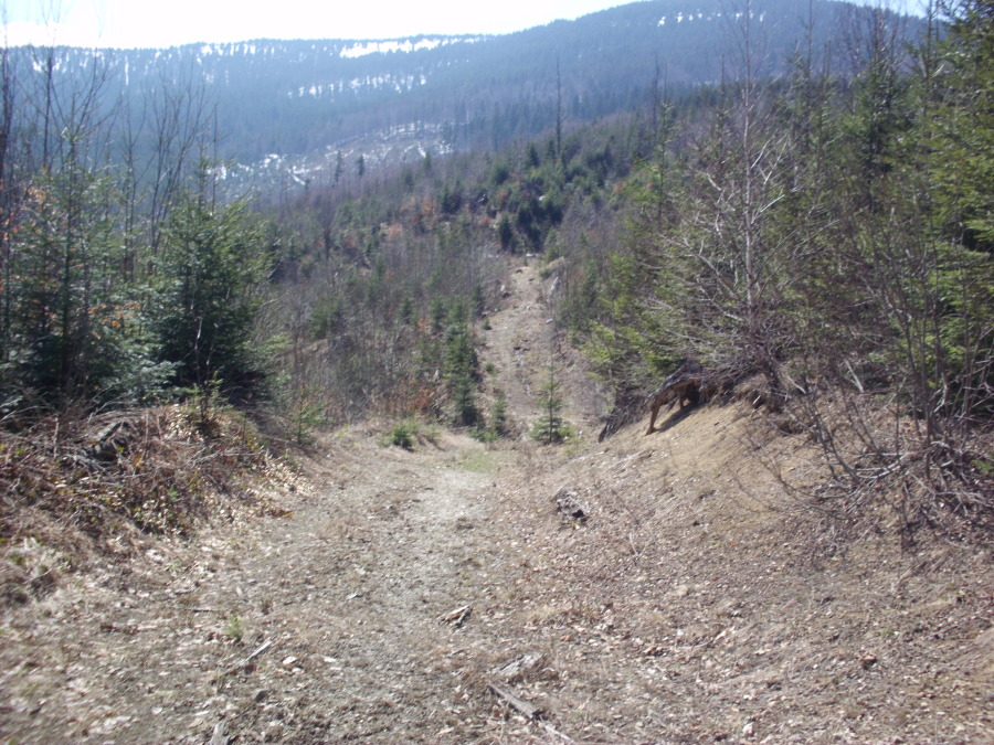 Rene Müller, 40, Zurich, Switzerland