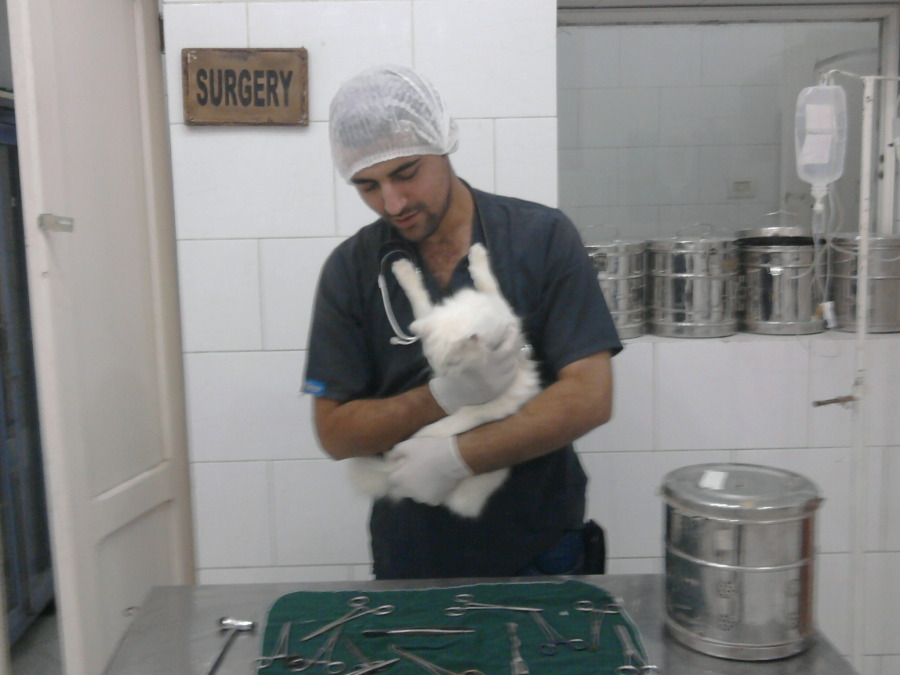 DrAhmed Gabr, 41, Giza, Egypt