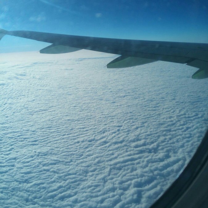 Elena, 44, Samara, Russian Federation