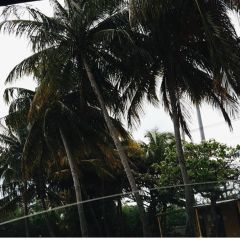 Destinie M, 29, San Juan, Puerto Rico