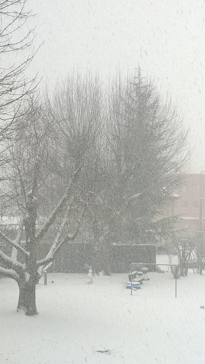 danielly, 37, Rio de Janeiro, Brazil