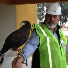 jjdlmp, 77, Mexicali, Mexico