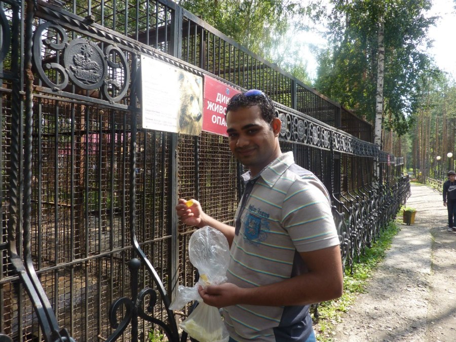 ahmed, 40, Hurghada, Egypt