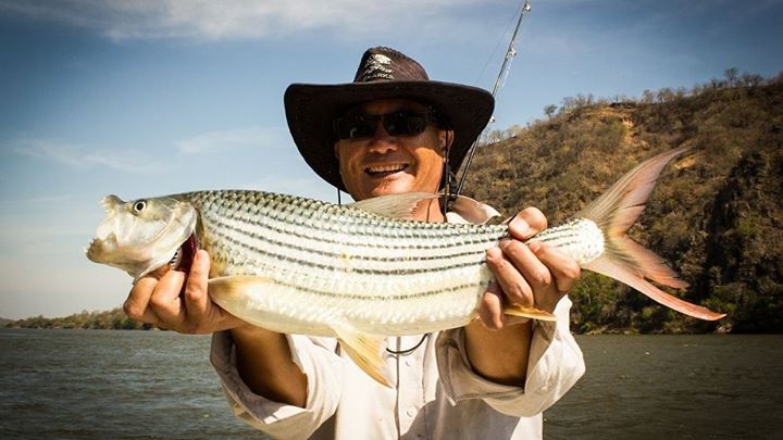 sean, 58, Johannesburg, South Africa