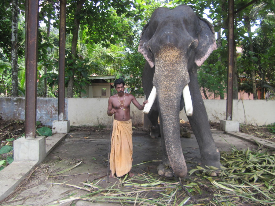 Abhilash h nair, 35, New Delhi, India