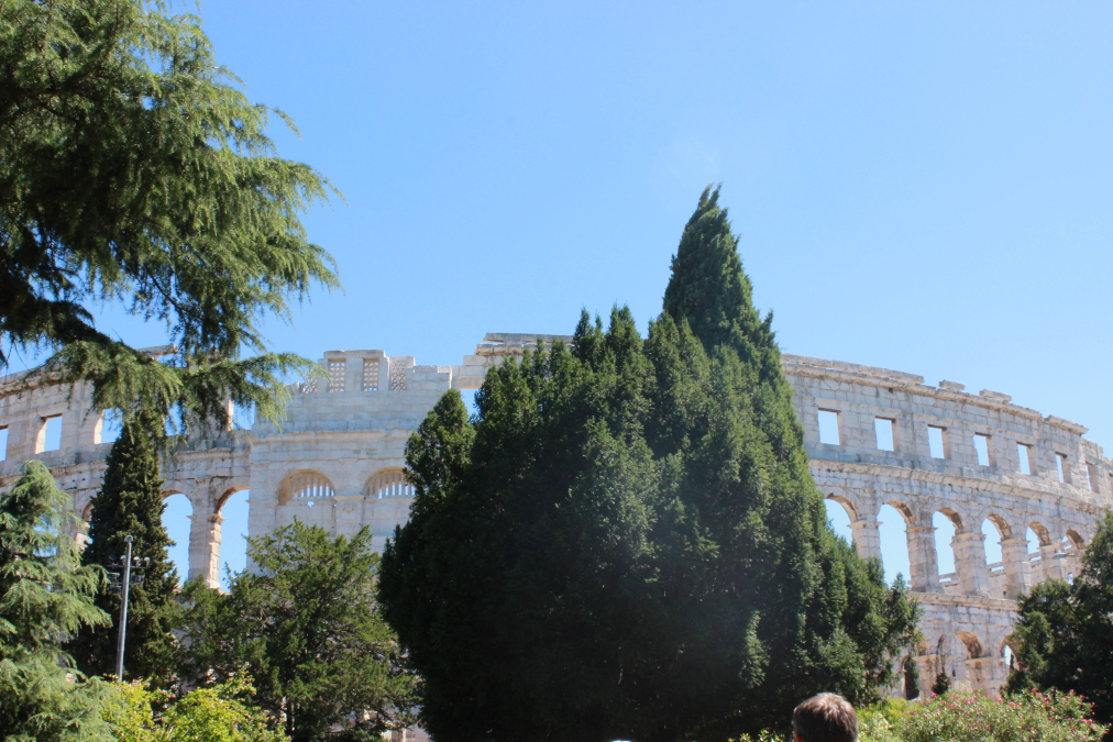 Olga, 36, Minsk, Belarus