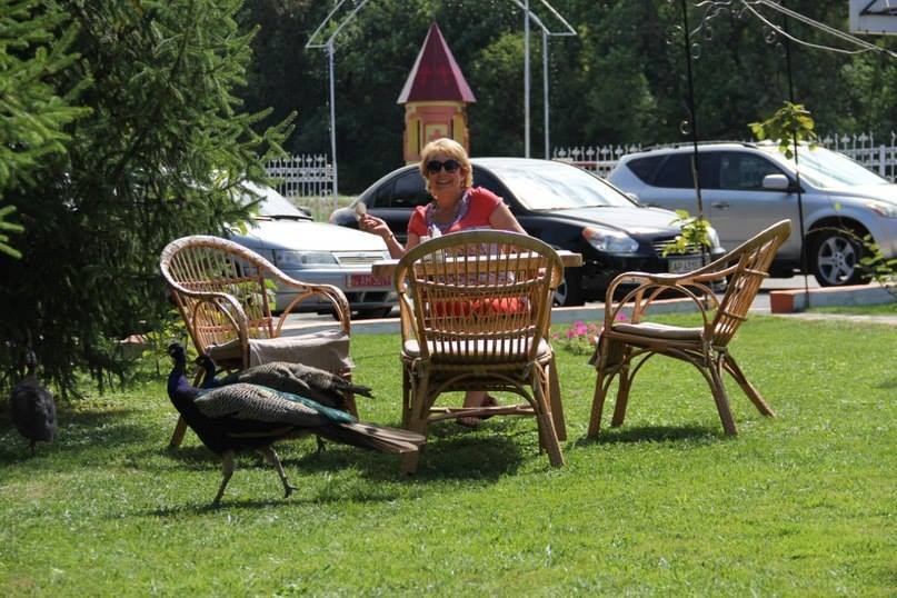 Наталья , 57, Rostov-on-Don, Russian Federation