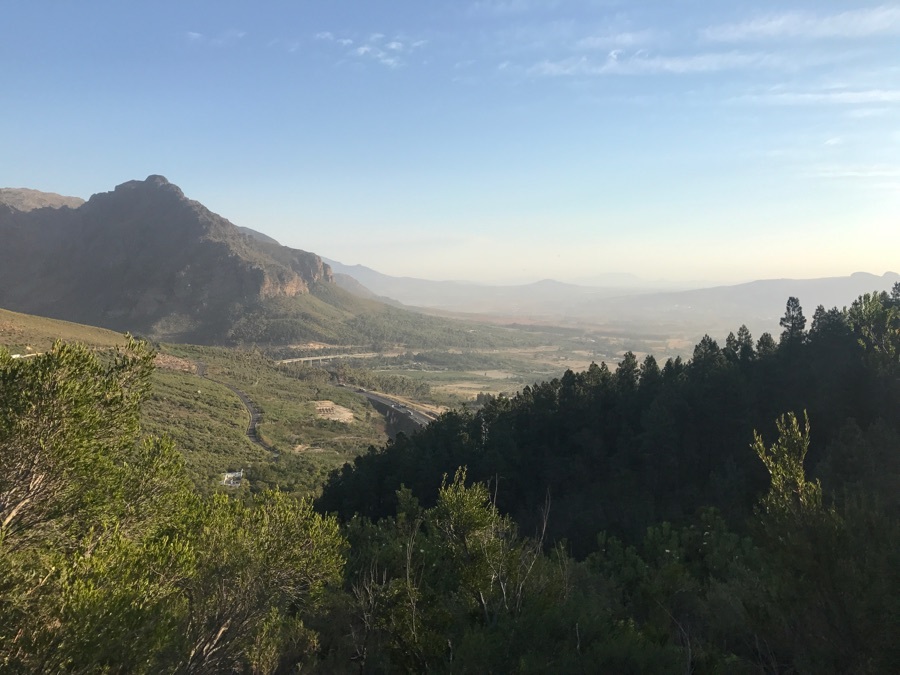 Liam Bezuidenhout, , Johannesburg, South Africa