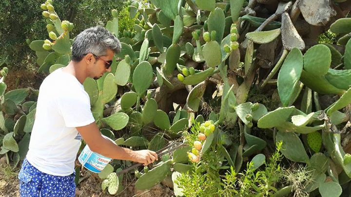 Bulut Bulut, 46, Mersin, Turkey