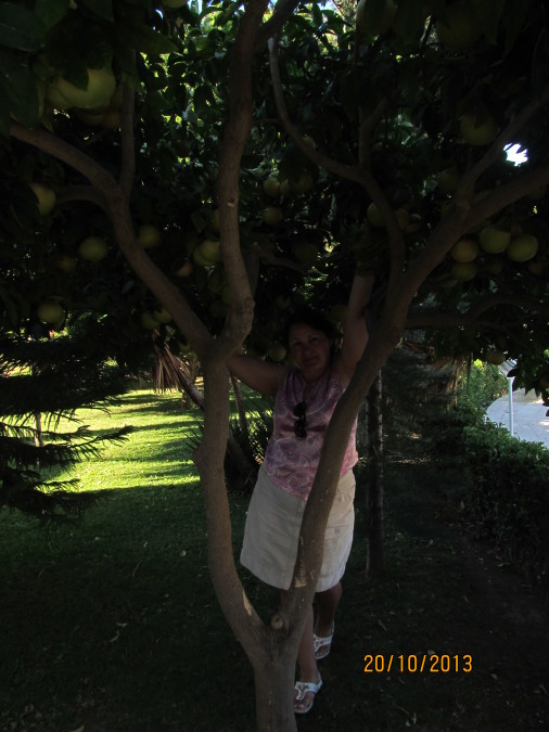 Любовь Серова, 63, Yaroslavl, Russian Federation