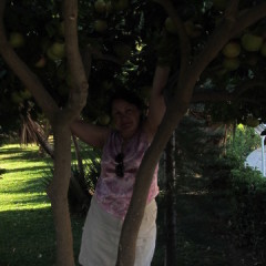 Любовь Серова, 63, Yaroslavl, Russian Federation