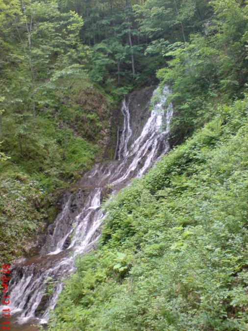 Ivan veseljak jankovic, 41, Nishavski District, Serbia