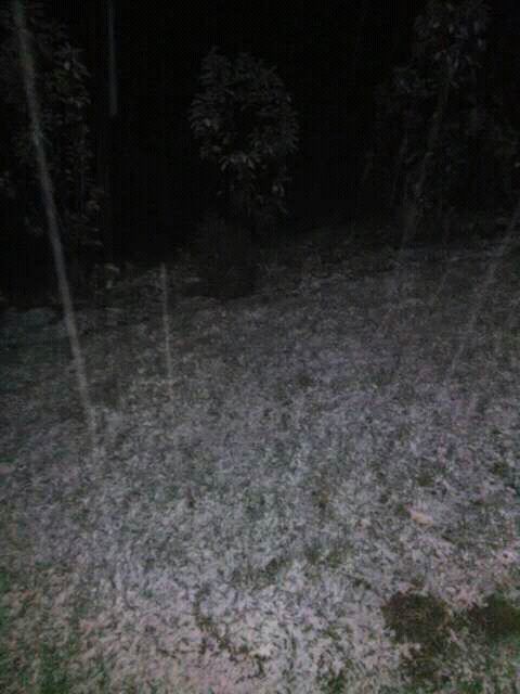 Ivan veseljak jankovic, 41, Nishavski District, Serbia