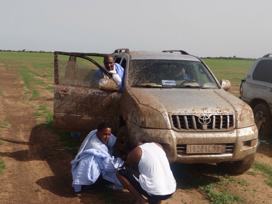 Hacen elatigh, 46, New York, United States