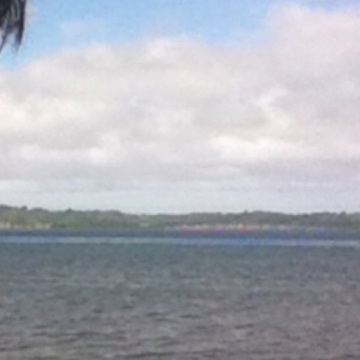 moko, 48, Jakarta, Indonesia