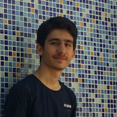 Amir, 28, Tehran, Iran