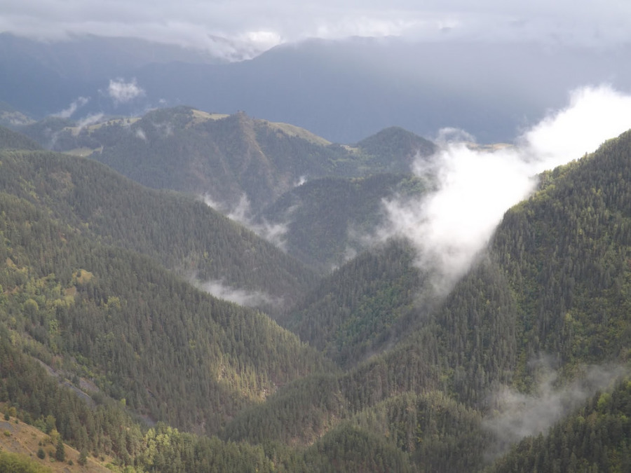 Giorgi Tabatadze, 42, Tbilisi, Georgia