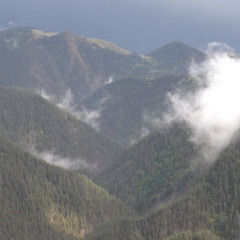 Giorgi Tabatadze, 42, Tbilisi, Georgia