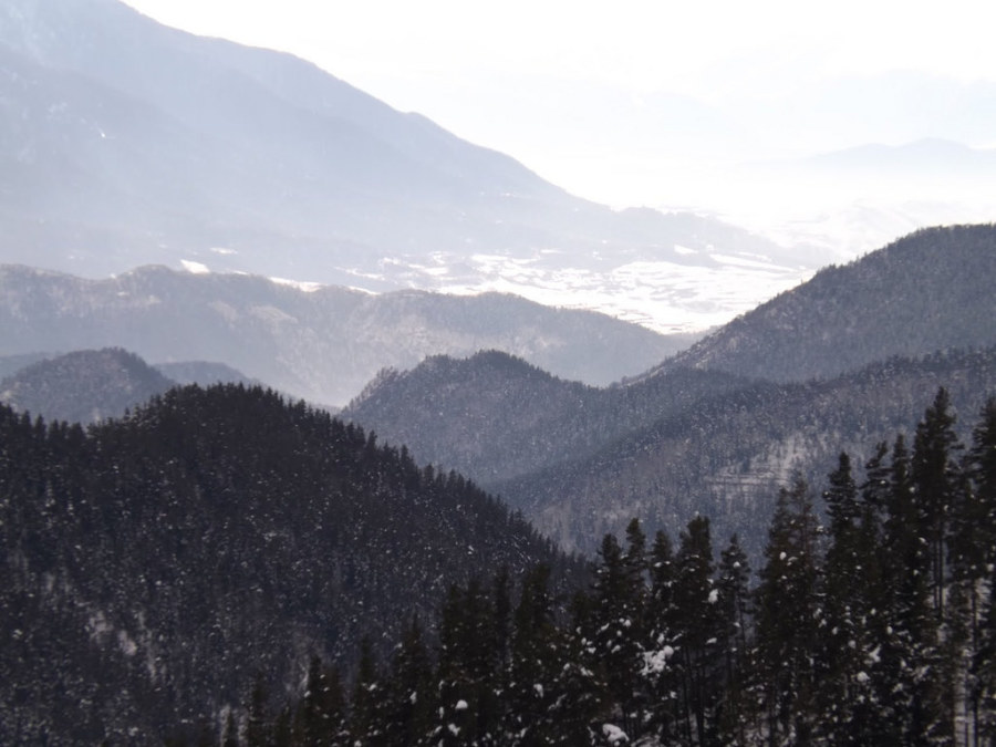 Giorgi Tabatadze, 42, Tbilisi, Georgia