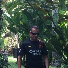 Nik , 49, Dubai, United Arab Emirates