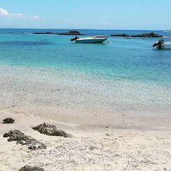 Gueen31, 41, Izmir, Turkey