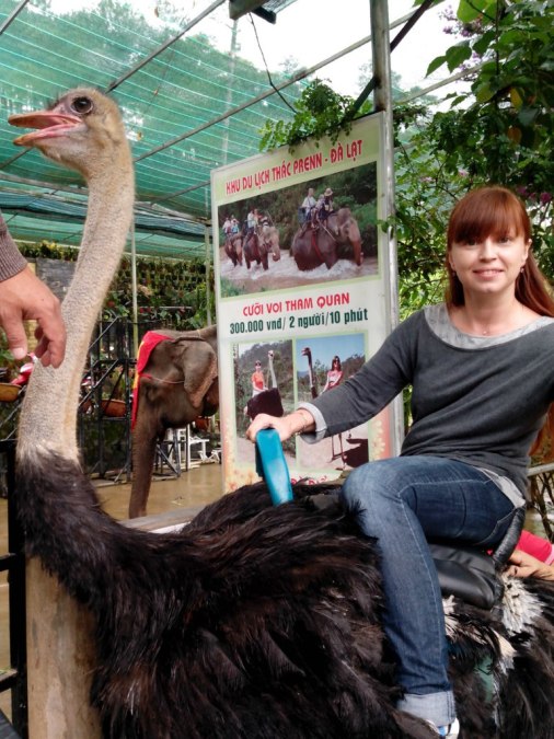 Tatiana Boldyreva, 43, Lipetsk, Russian Federation